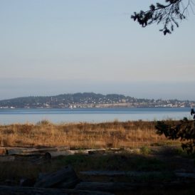 View of Port Townsend from Kala Point Beach