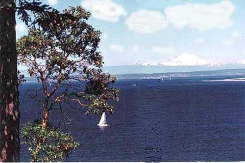 View of Mt Baker